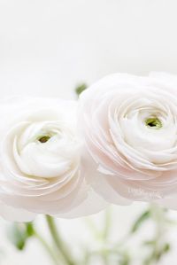 9c664d667329d5d552abb7bef8a4cc79